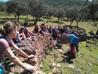 Más de 50 personas de la comunidad universitaria participan en la actividad de voluntariado ambiental con Andalucía Ecocampus en la finca Las Erillas